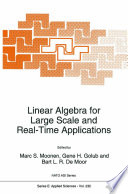Linear Algebra for Large Scale and Real-Time Applications [E-Book] /