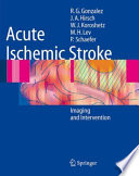 Acute Ischemic Stroke [E-Book] : Imaging and Intervention /