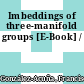 Imbeddings of three-manifold groups [E-Book] /
