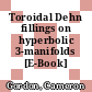 Toroidal Dehn fillings on hyperbolic 3-manifolds [E-Book] /