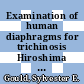 Examination of human diaphragms for trichinosis Hiroshima and Nagasaki [Microfiche] /