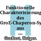 Funktionelle Charakterisierung des GroE-Chaperon-Systems aus E. coli /