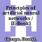 Principles of artificial neural networks / [E-Book]