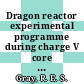 Dragon reactor experimental programme during charge V core 5 : [E-Book]