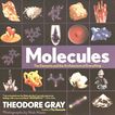 Molecules : the elements and the architecture of everything /