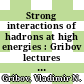 Strong interactions of hadrons at high energies : Gribov lectures on theoretical physics [E-Book] /
