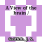 A View of the brain /