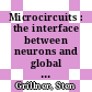 Microcircuits : the interface between neurons and global brain function [E-Book] /
