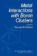 Metal interactions with boron clusters /