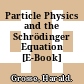 Particle Physics and the Schrödinger Equation [E-Book] /