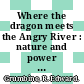 Where the dragon meets the Angry River : nature and power in the People's Republic of China [E-Book] /