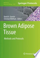 Brown Adipose Tissue [E-Book] : Methods and Protocols  /