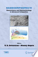 Nanocomposites VI: Nanoscience and Nanotechnology in Advanced Composites [E-Book] /