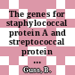 The genes for staphylococcal protein A and streptococcal protein G /