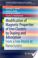 Modification of Magnetic Properties of Iron Clusters by Doping and Adsorption [E-Book] : From a Few Atoms to Nanoclusters /
