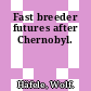 Fast breeder futures after Chernobyl.