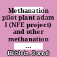 Methanation pilot plant adam I (NFE project) and other methanation pilot plants [E-Book] /