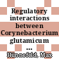Regulatory interactions between Corynebacterium glutamicum and its prophages /