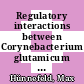 Regulatory interactions between Corynebacterium glutamicum and its prophages [E-Book] /