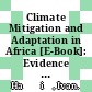 Climate Mitigation and Adaptation in Africa [E-Book]: Evidence from Patent Data /