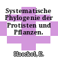 Systematische Phylogenie der Protisten und Pflanzen.