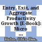 Entry, Exit, and Aggregate Productivity Growth [E-Book]: Micro Evidence on Korean Manufacturing /