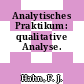 Analytisches Praktikum: qualitative Analyse.
