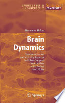 Brain Dynamics [E-Book] : Synchronization and Activity Patterns in Pulse-Coupled Neural Nets with Delays and Noise /
