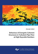 Behaviour of Energetic Coherent Structures in Turbulent Pipe Flow at High Reynolds Numbers [E-Book]