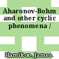 Aharonov-Bohm and other cyclic phenomena /