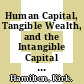 Human Capital, Tangible Wealth, and the Intangible Capital Residual [E-Book] /
