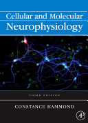Cellular and molecular neurophysiology /