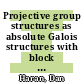 Projective group structures as absolute Galois structures with block approximation [E-Book] /
