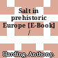 Salt in prehistoric Europe [E-Book] /