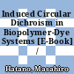 Induced Circular Dichroism in Biopolymer-Dye Systems [E-Book] /