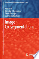 Image Co-segmentation [E-Book] /