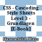 CSS - Cascading Style Sheets Level 3 - Grundlagen [E-Book] /