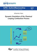 Dynamic simulation of the chemical looping combustion process [E-Book] /