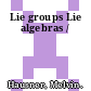Lie groups Lie algebras /
