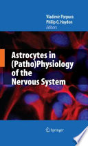 Astrocytes in (Patho)Physiology of the Nervous System [E-Book] /