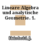 Lineare Algebra und analytische Geometrie. 1.