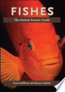 Fishes : the animal answer guide [E-Book] /