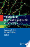 Structural And Functional Organization Of The Synapse [E-Book] /