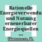 Rationelle Energieverwendung und Nutzung erneuerbarer Energiequellen im kommunalen Bereich. Vol 3 : Informationspaket Fernwärme : Stand: Juni 1981.