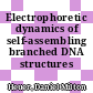 Electrophoretic dynamics of self-assembling branched DNA structures /