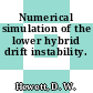 Numerical simulation of the lower hybrid drift instability.