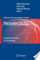 Piezoelectricity [E-Book] : Evolution and Future of a Technology /