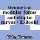 Geometric modular forms and elliptic curves / [E-Book]