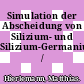 Simulation der Abscheidung von Silizium- und Silizium-Germanium-Schichten /