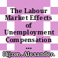 The Labour Market Effects of Unemployment Compensation in Brazil [E-Book] /